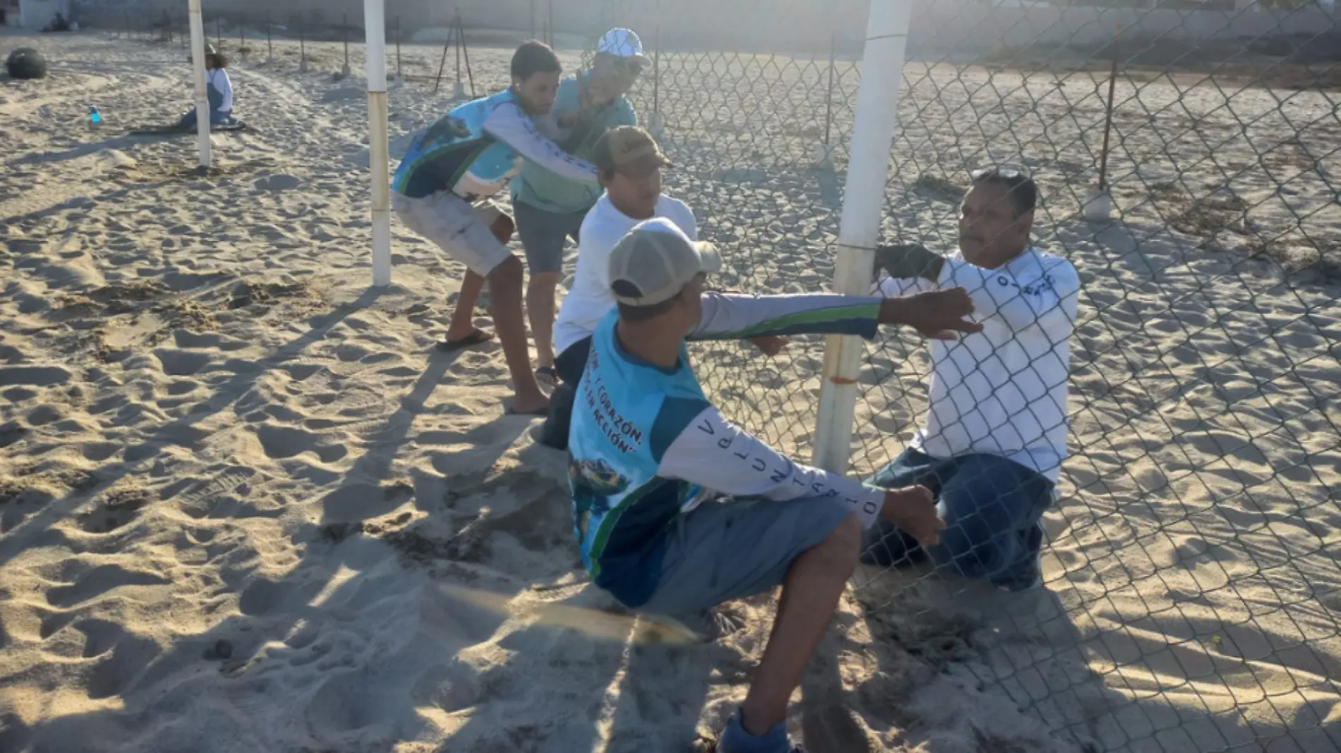 Reubican corral de incubación de tortugas marinas